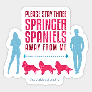 Springer Spaniel Social Distancing Guide Sticker